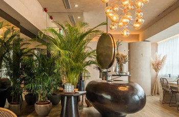 什麼是 五感按摩？